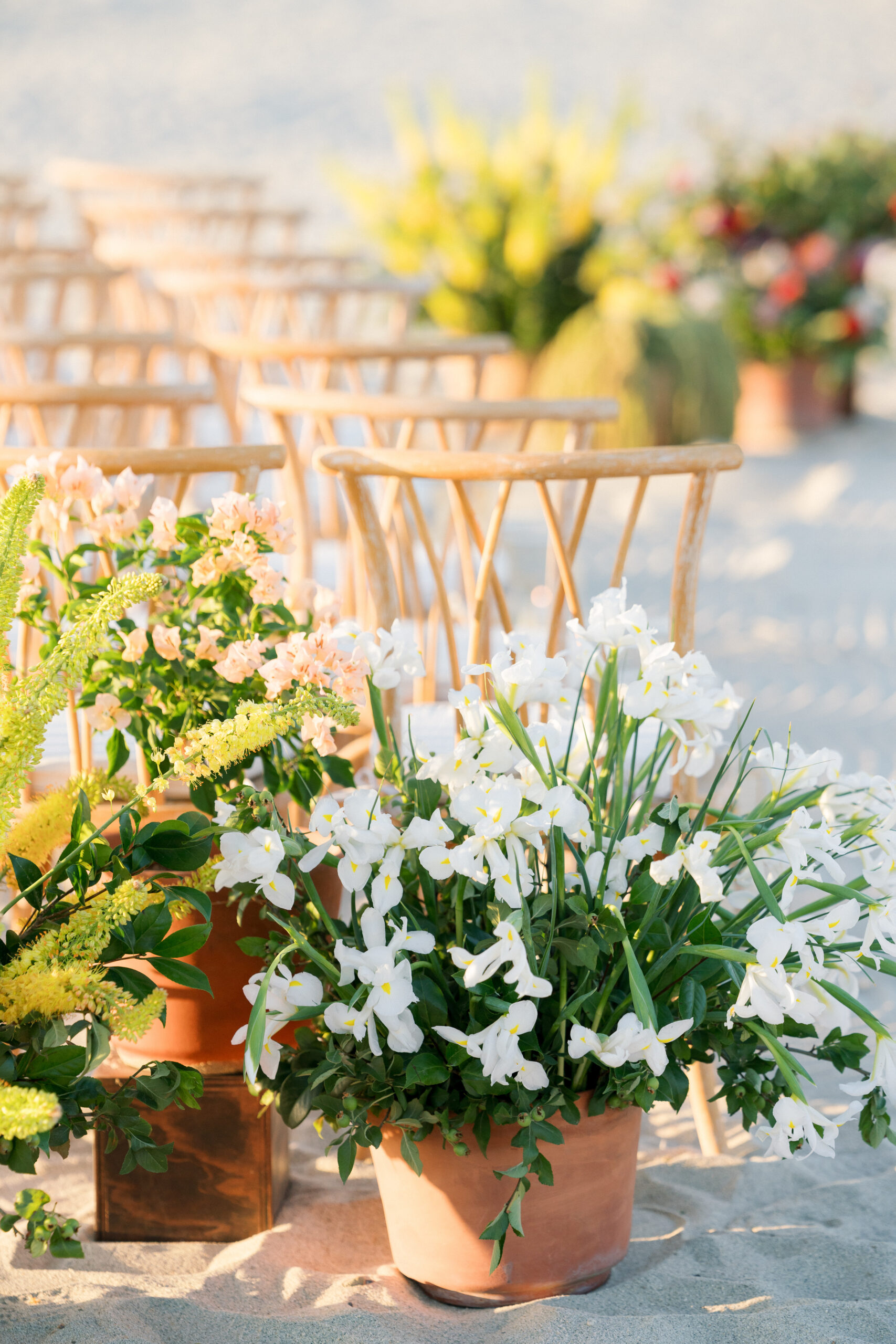 Editorial Four Seasons Los Cabos by MC Weddings