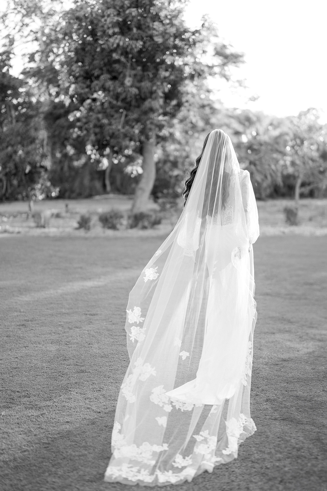 Sneak Peek Kathryn & Mitchell
